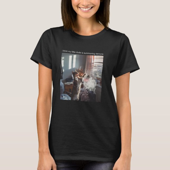 Cat Meme Tshirt Silly Cat Funny Kitty Meow Hiss Ki (Front)