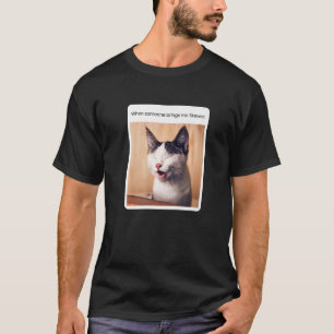 Cat Meme When Someone Brings Me Skewer T-Shirt