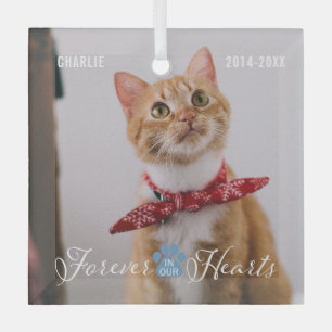 Cat Memorial Forever in our Hearts Photo and Name  Glass Ornament