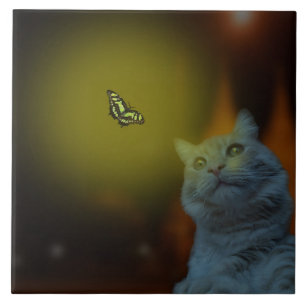 Cat Mesmerised By Butterfly, Large Ceramic Tile