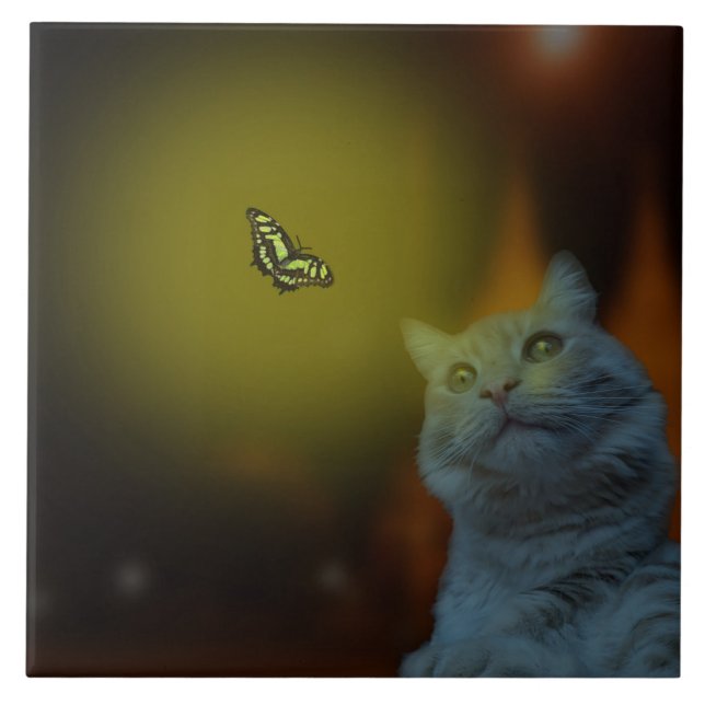 Cat Mesmerized By Butterfly, Large Ceramic Tile (Front)