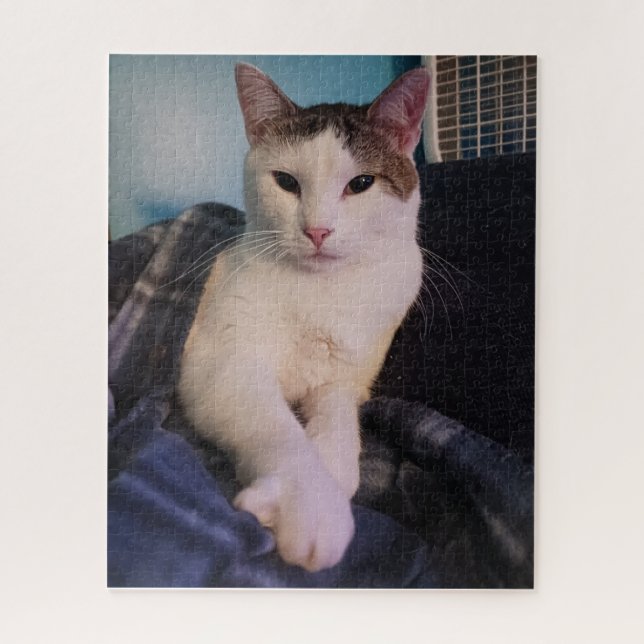 Cat mignon puzzle (Vertical)