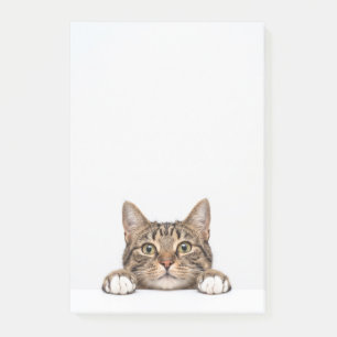 cat mom post-it notes