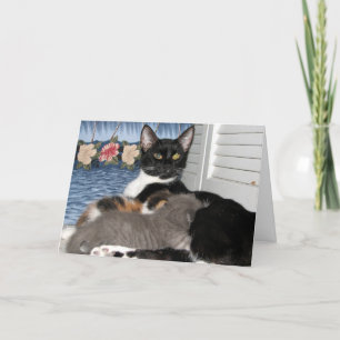 Cat Momma's Love Thank You Card