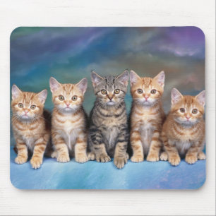 cat mouse mat