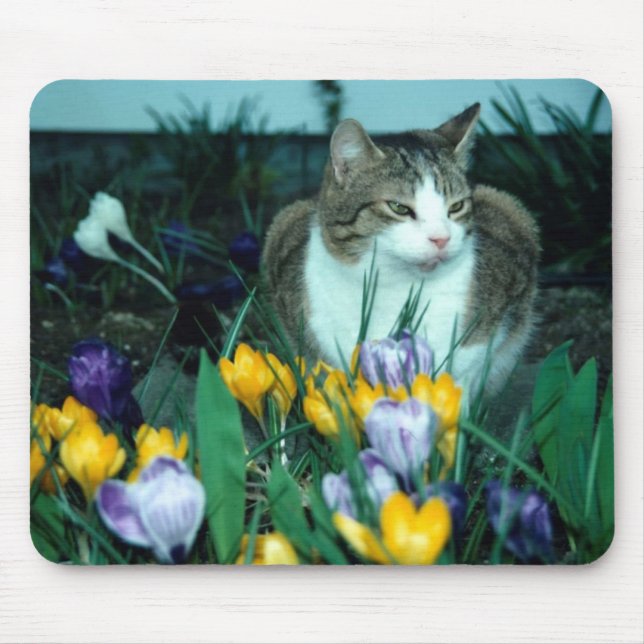 Cat Mouse Pad (Front)
