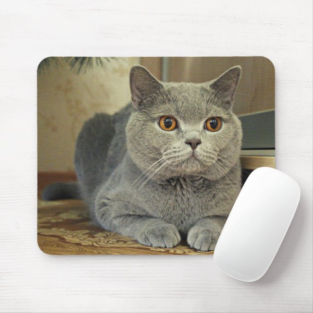 Cat Mouse Pad (With Mouse)