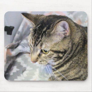 Cat Mouse Pad