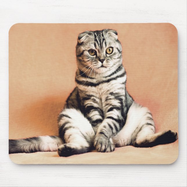 Cat Mouse Pad (Front)