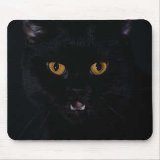 cat mouse pad