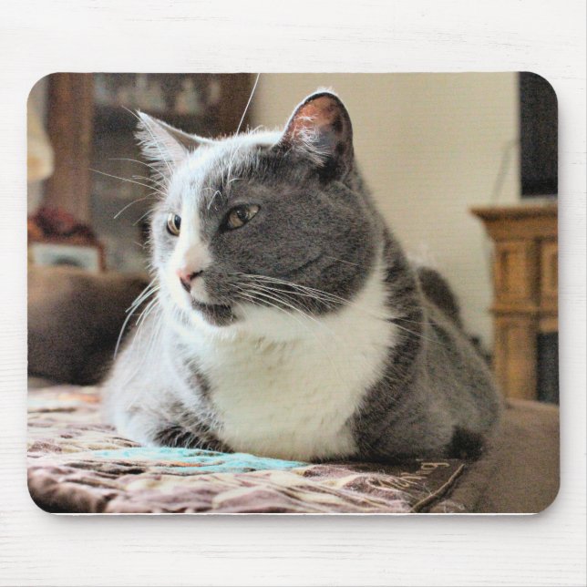 Cat Mouse Pad (Front)