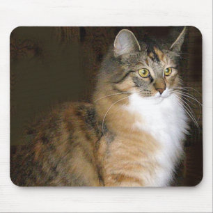 cat mouse pad