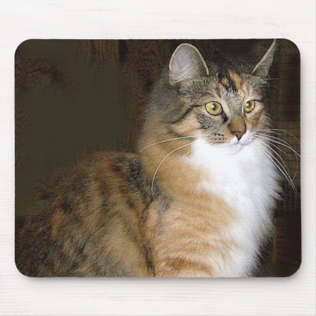 cat mouse pad (Front)