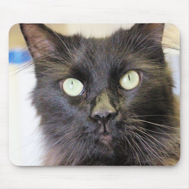 Cat Mouse Pad (Front)