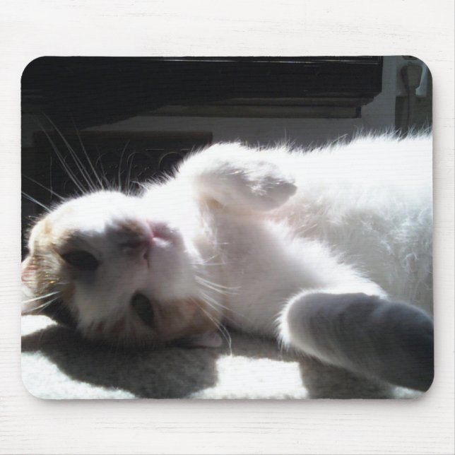 Cat Mouse Pad! Mouse Pad (Front)