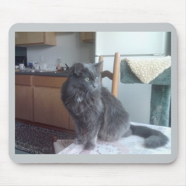 Cat Mousepad (Front)