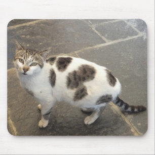 Cat mousepad