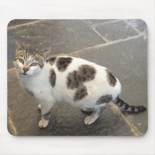 Cat mousepad (Front)