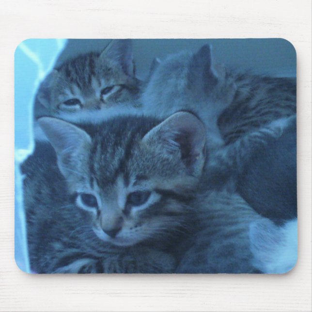 Cat mousepad (Front)