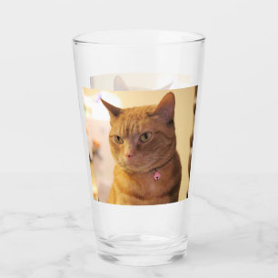 Cat Mug Glass