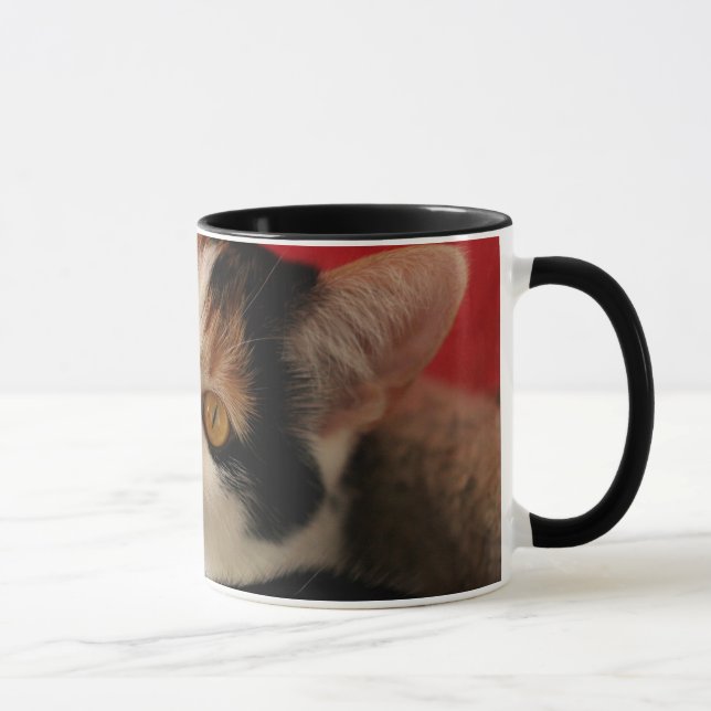 Cat Mug - World's Best Cat Mom (Right)