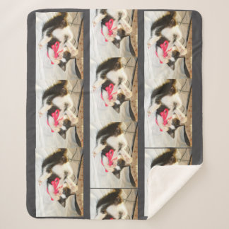Cat Multiple Photo , Customize,  Sherpa Blanket