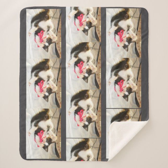 Cat Multiple Photo , Customize,  Sherpa Blanket (Front)