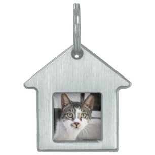 Cat Name Tag