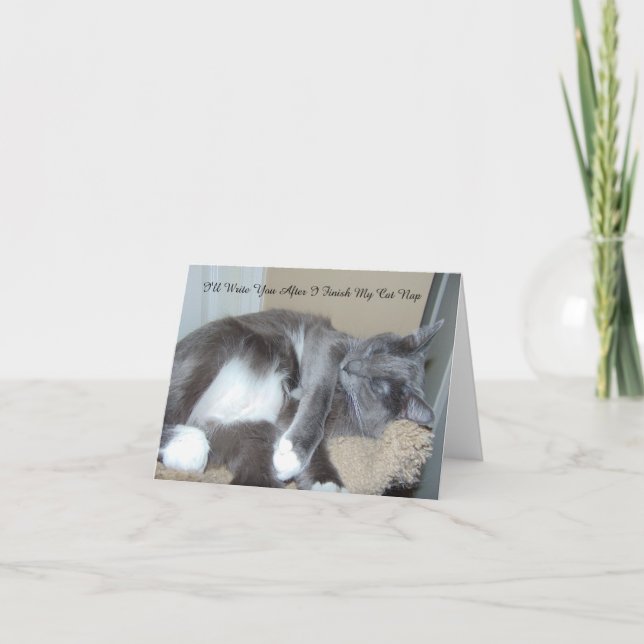 Cat Nap Card (Front)
