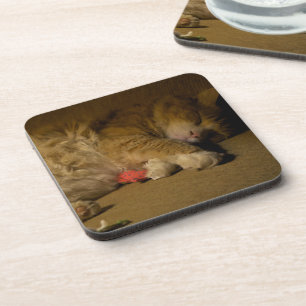 Cat Nap Coaster
