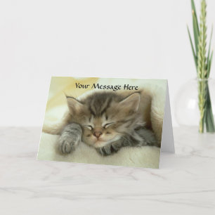 Cat Nap Greeting Card
