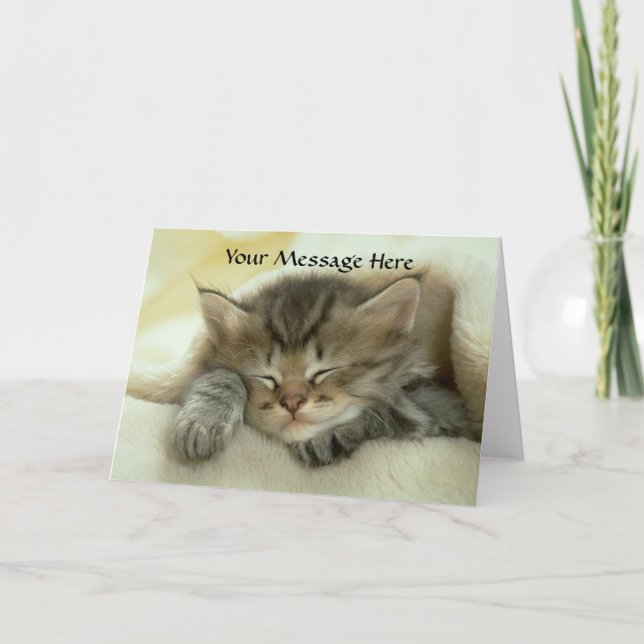Cat Nap Greeting Card (Front)