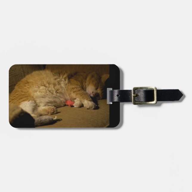 Cat Nap Luggage Tag (Front Horizontal)