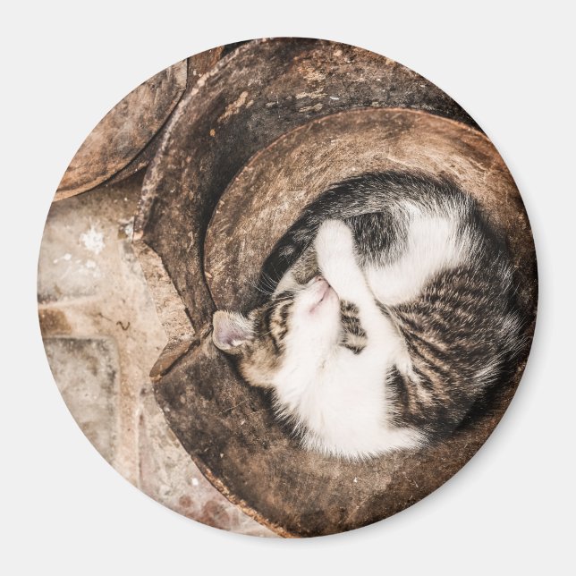 Cat Nap Magnet (Front)