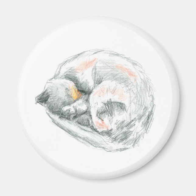Cat Nap Magnet (Front)
