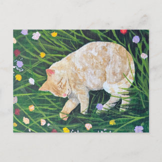 Cat Nap Postcard