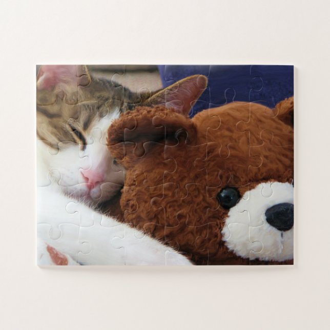 Cat Nap Teddy Jigsaw Puzzle (Horizontal)