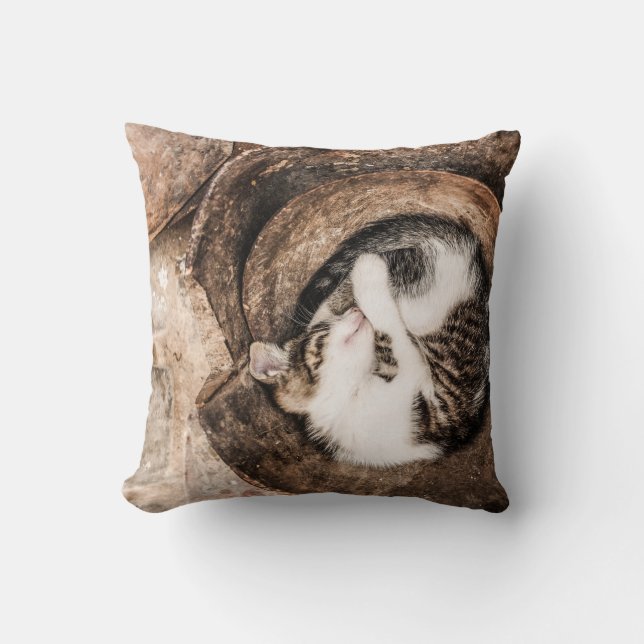 Cat Nap Throw Pillow (Front)