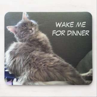 Cat Nap: Wake me for dinner Mouse Pad