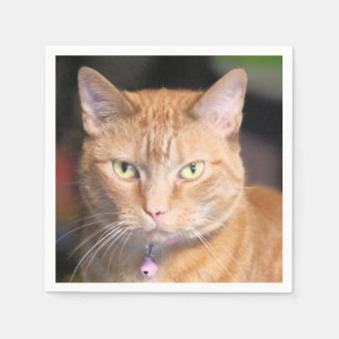 Cat napkin