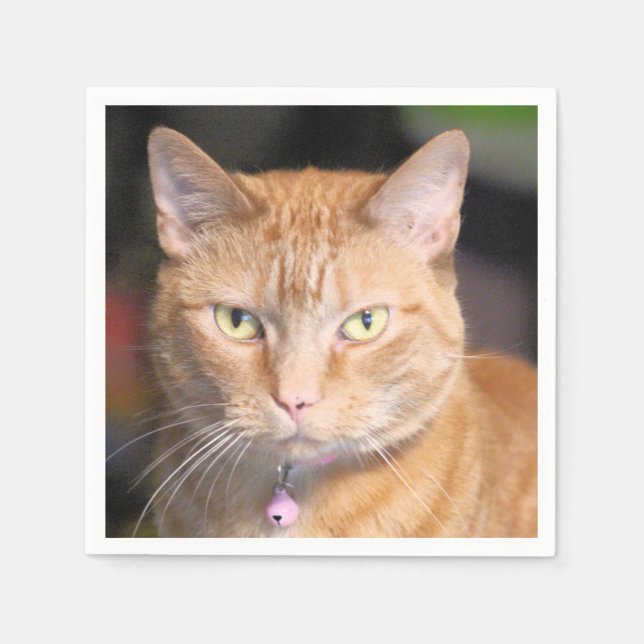 Cat      napkin (Front)