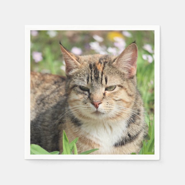 Cat Napkin (Front)