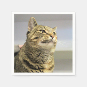 Cat Napkin