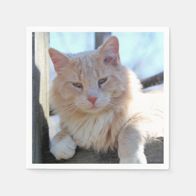 Cat Napkin (Front)