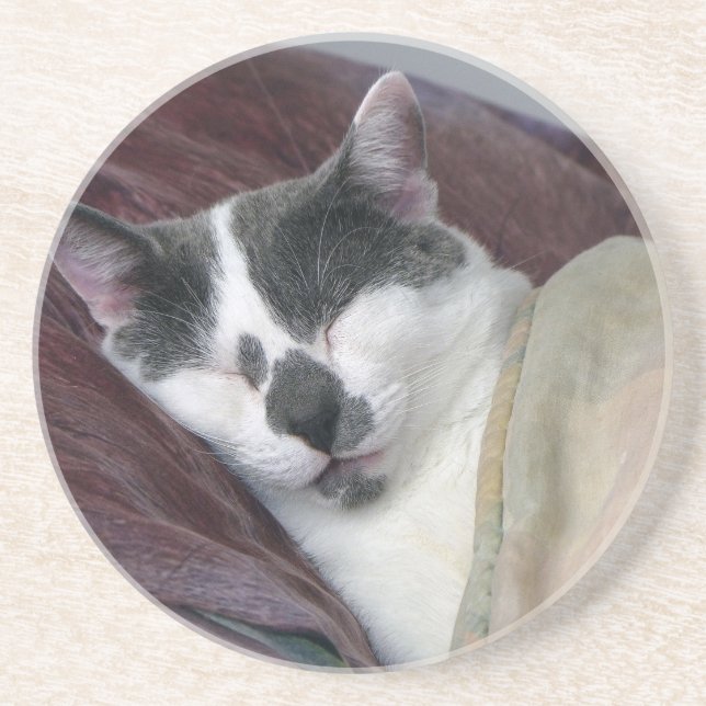 Cat Napping Coaster (Front)