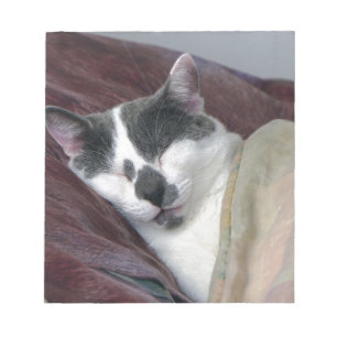 Cat Napping Notepad