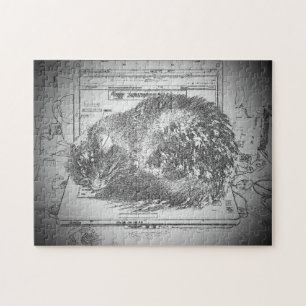 Cat Napping On the Laptop or make your own Jigsaw Puzzle