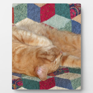 Cat Napping Plaque