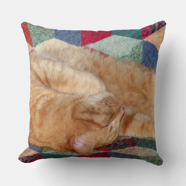Cat Napping Throw Pillow (Front)