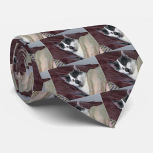 Cat Napping Tie